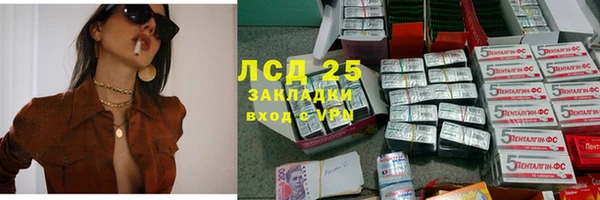 стаф Алзамай