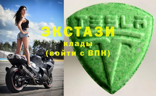 стаф Алзамай