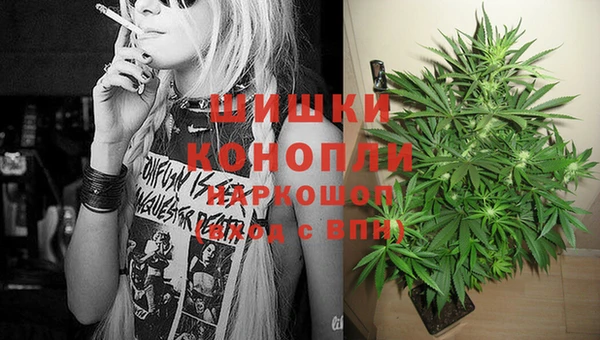 ПСИЛОЦИБИНОВЫЕ ГРИБЫ Алексин
